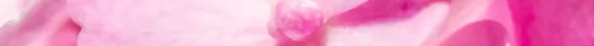 Ausbildung zum / zur Hospizhelfer*in