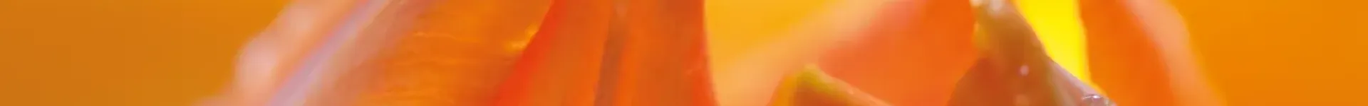 PEKiP® – Fühlen, bewegen, die Welt entdecken